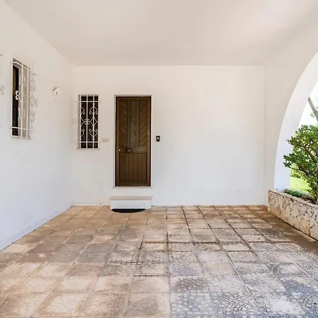 Palmeiras - Serene Private