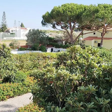 Palmeiras - Serene Private فيلة